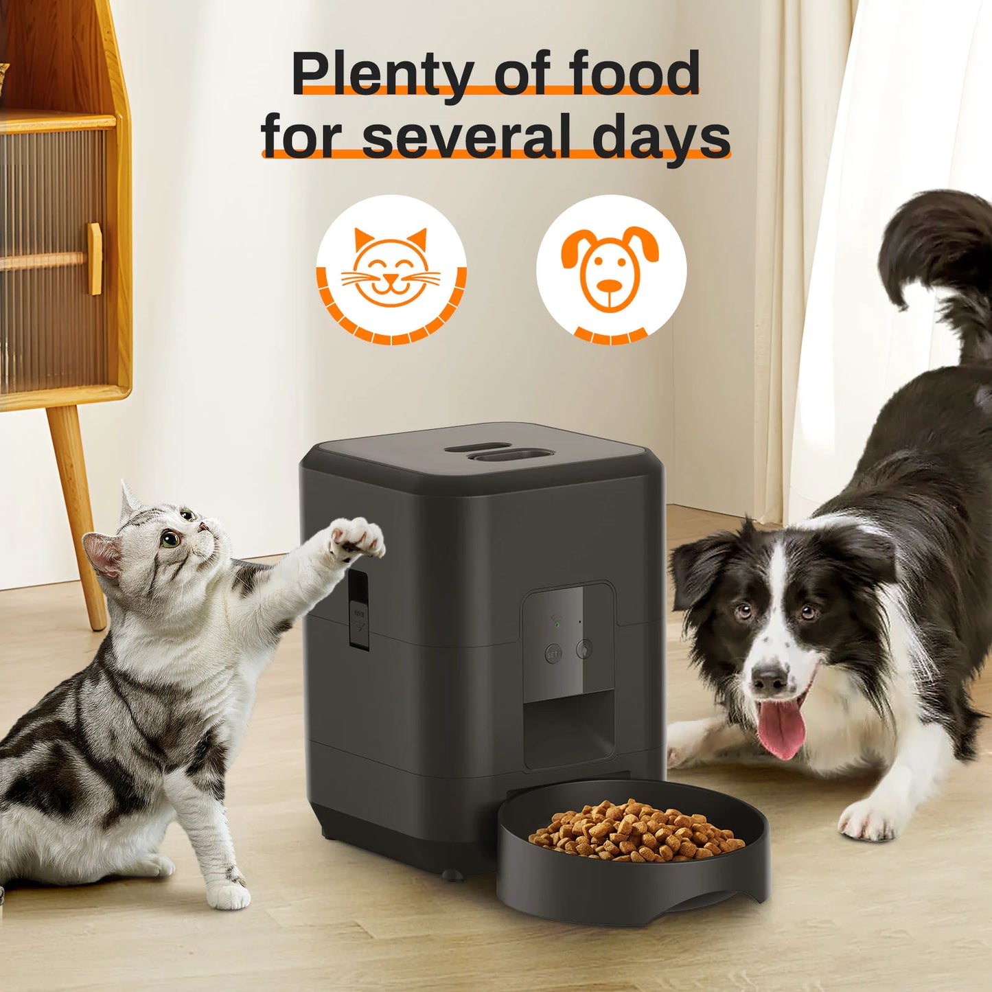 Automatic Pet Feeder